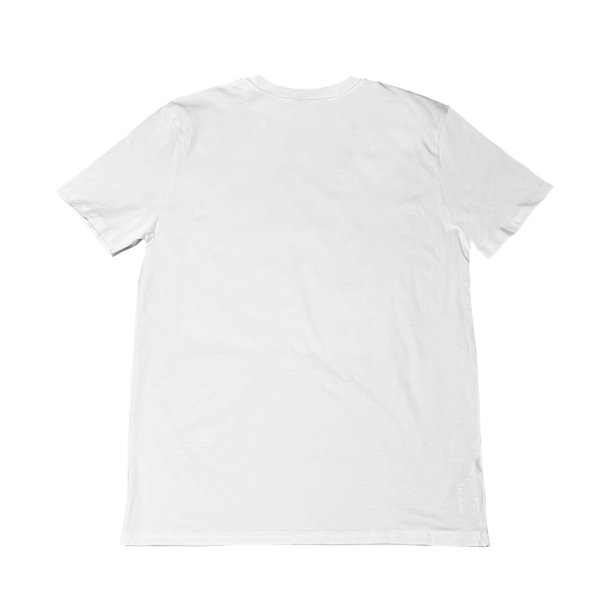 Seetees Brilliant t-shirt sella capsule This Is Art in cotone organico vegano Convenienza
