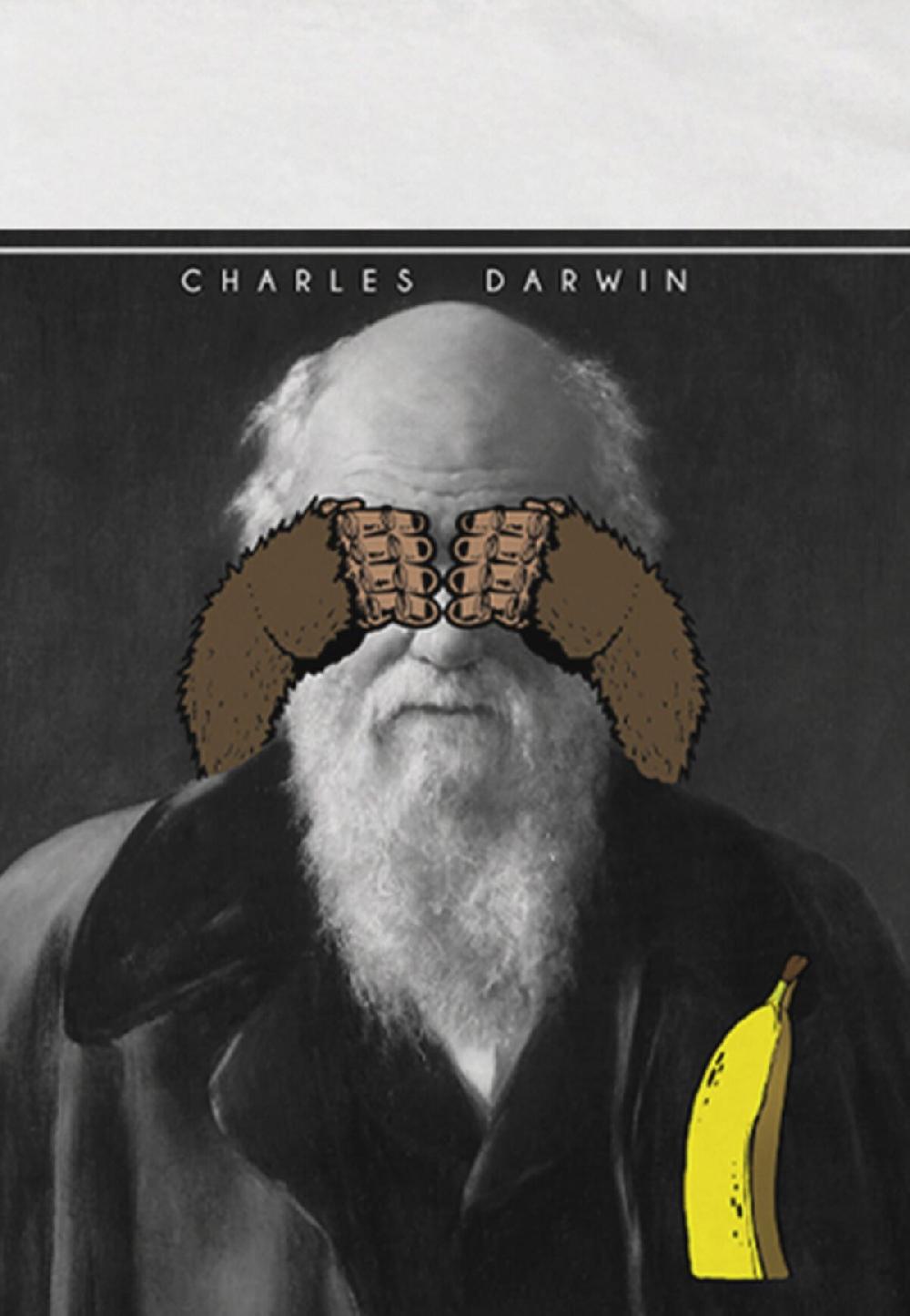 Seetees Darwin Qualità Garantita